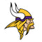 Minnesota Vikings